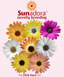 Click here to visit the Sunadora® website